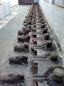 108 Mahadev Temple, Pushkar