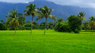 Central Kerala picture