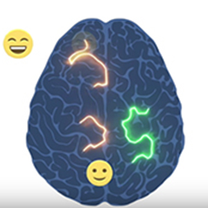 Brain (Photo courtesy: Harvard University)