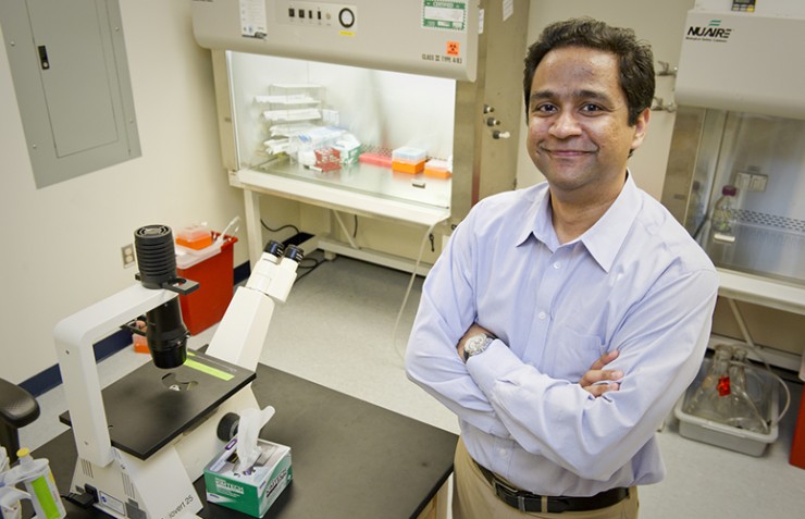 A team led by associate professor Anand Asthagiri explores the biophysics behind the spread of breast cancer, providing hope for future treatments and early diagnosis. Photo by Mary Knox Merrill/Northeastern University