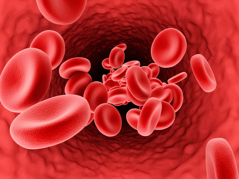 Using a formula that accounts for the age of red blood cells, scientists have developed a more accurate way to estimate blood sugar averages in people with diabetes. Image: iStock