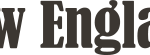 INE-grey-logo