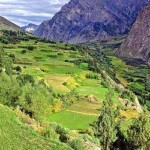 Lahaul Valley-green