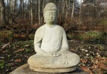 Pearls of Wisdom: Free Yourself from the Prison of Your Mind, and Focus on Your Efforts and Actions for True Liberation and Freedom