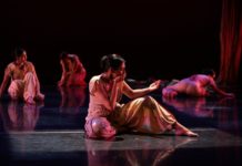 Natya Dance Theatre of Chicago Receives $50,000 Grant From MacArthur Foundation