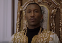 Green Book, backed by Anil Ambani firm Amblin Entertainment, wins best film and other awards