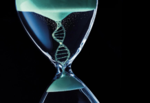 Cells recall the way they were