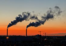 Polluted air kills around 600,000 children every year: UN