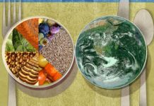 Harvard University sets new food standards