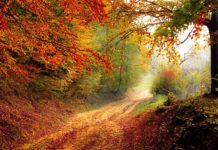 Beauty giant plans to be fully sustainable by 2030