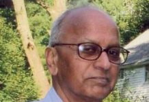 Opinion: Political Gamesmanship and the 30 Meter Telescope on Manua Kea Mountain in Hawaii