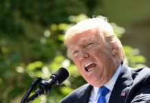 Dear President Trump: You Can Still Save America Before All Windows Close and Americans Panic