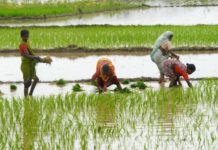 Pearls of Wisdom: Your Deep Driving Desire is Your Destiny