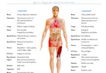 Pearls of Wisdom: When Your Thought Becomes the Master of Your Life