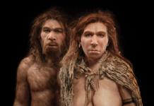 Our ancestors learnt to smile so that they can have sex