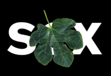 Don’t Judge, Wait, and Know the Science: InterSex,The Body and The Self