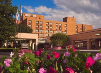 A Guide to Today’s NECA 2025: A Night of Artistry, Inspiration, and Community