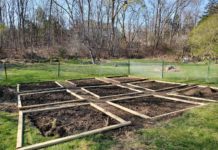 Gardening: Grow These Indian Vegetables Easily in New England