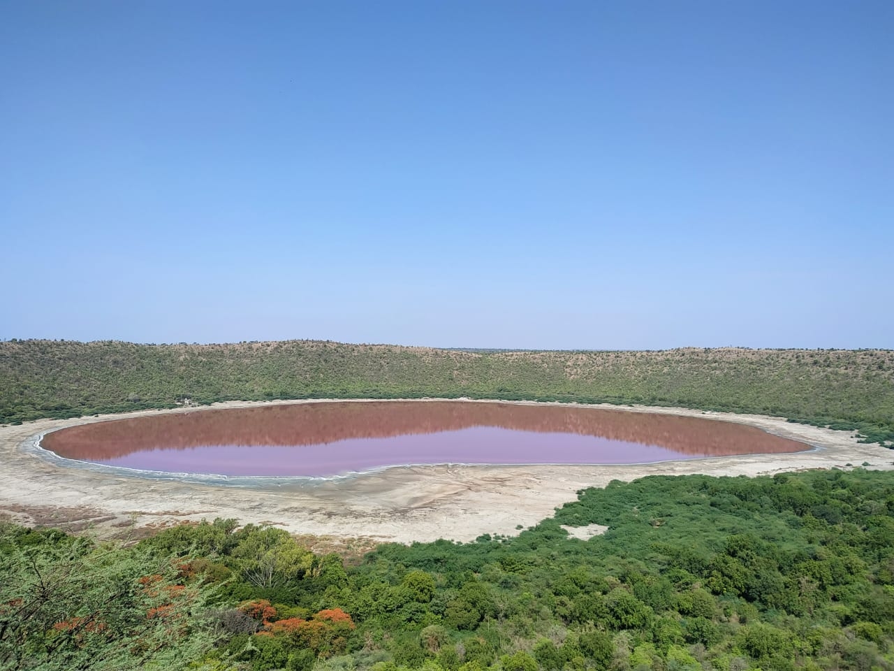 lonar lake pink maharashtra dons scientists astounds buldhana