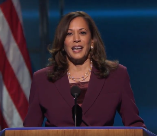 Kamala Harris creates buzz on social media with ‘chithi’ reference