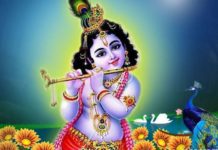 Lord Krishna to celebrate his 1st virtual Birthday