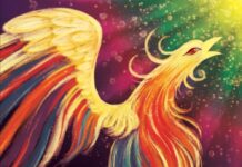 ‘The Water Phoenix’ author Rituparna Chatterjee is courage personified