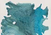 Mumbai art gallery to reopen with show on nature, self