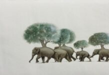 Nature becomes muse in these online exhibitions