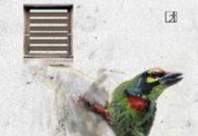 ‘Sometimes, stories lie dormant in mind for years’