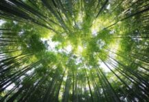 How Bengaluru-based firm is contributing to major fashion-conscious movement