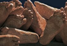 A photo-exhibition capturing ‘fleeting footprints of light’