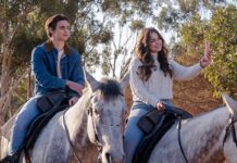 Review: He’s All That: A clean teen rom-com with a Pygmalion template