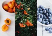 Herbs, nuts and fruits to enhance your daily diet