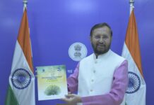 These 15 films lined up for International Competition at 52nd IFFI in Goa