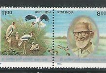 Ornithologist Salim Ali’s forgotten radio-casts now come ‘alive’ in book