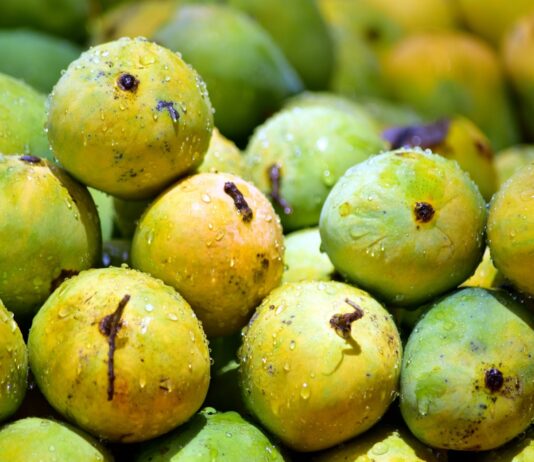Finally, Indian Mango Varieties in US: Alphonso this season and Langra, Chausa, Dushehri soon