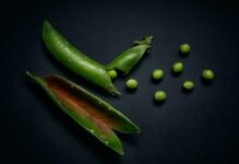 Pea Protein 101: Decoding the myths