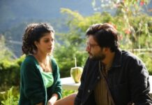 Review: ‘Bloody Brothers’: More British than Indian