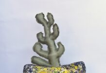 Award winners declared for Punjab Lalit Kala Akademi’s Annual Art Exhibition 2022