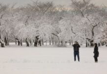 Record late season snowfall helps abate drought conditions in US