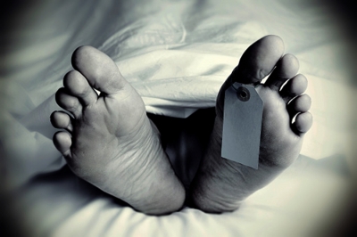 Gujarat Reports 225 Suspected Chandipura Cases, Confirmed Death Toll Rises to 25