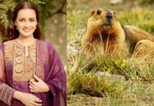 Bollywood Roundup: Dia Mirza, Urvashi Dholakia, Rakul Preet Singh, and more…