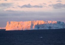 Stronger El Nino could cause irreversible Antarctic melting: Report