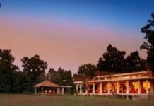 Experience the magnificence of the jungles