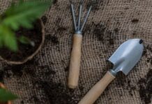 Supreme plant-based proteins for the Indian plate