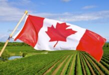Canada needs 30,000 new immigrants in agri sector: Report