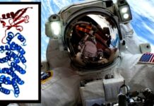 Scientists find how microgravity in space can alter human cells