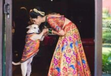 The rise of pet-friendly weddings in India