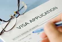 Ireland grants highest number of work permits to Indians in Q1 2023