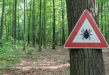 Seem like Lyme disease risk is getting worse? It is.